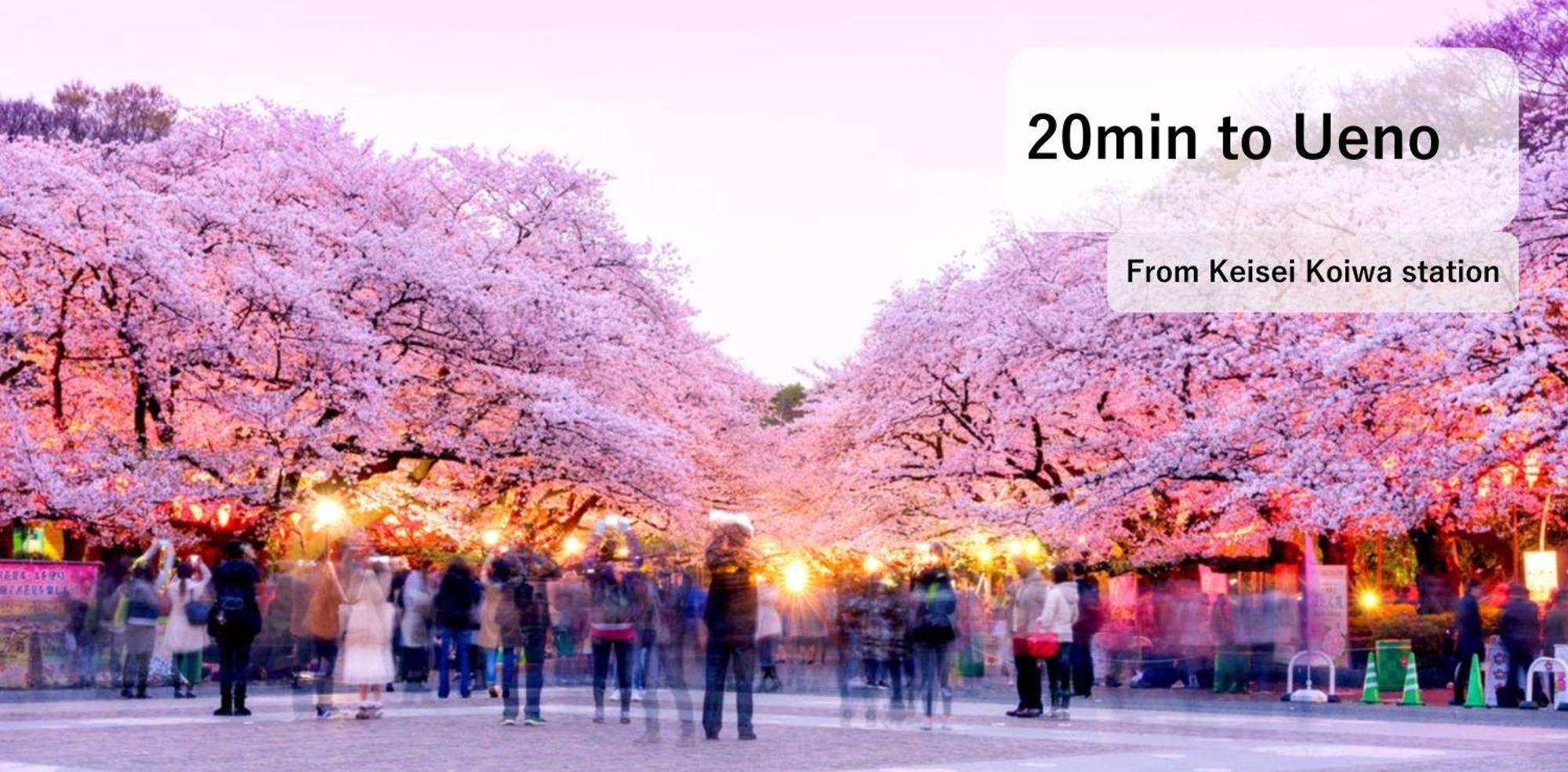 Asahistay -Koiwa, Free Parking O, Whole Family House, Japanese Garden Taste Tokio Buitenkant foto